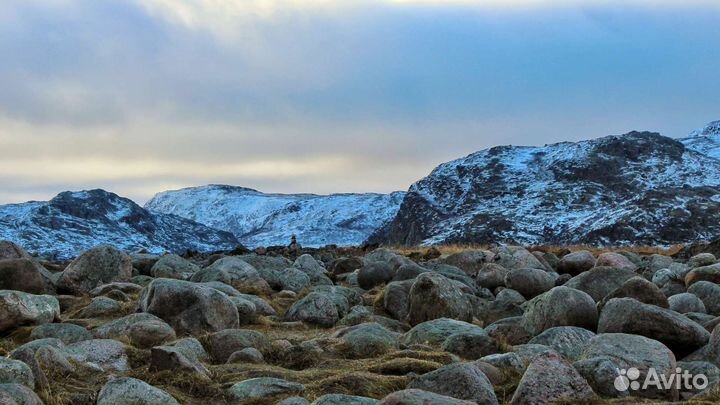 Трансфер-тур в Териберку