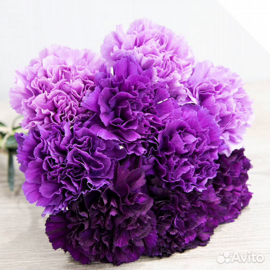 Цветы гвоздики с доставкой