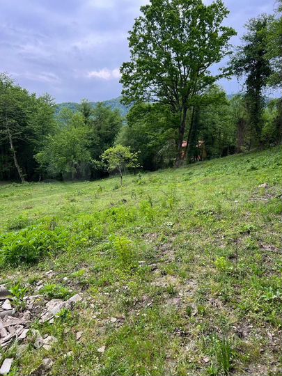 Участок 51 сот. (ИЖС)