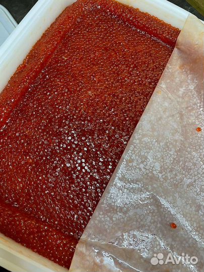 Икра красная кеты, улов июнь 2023 года