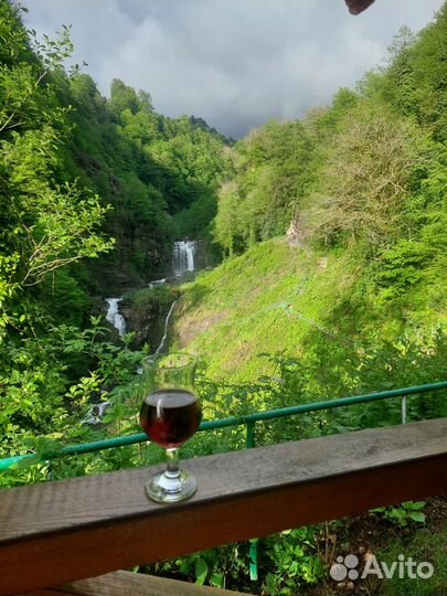 Экскурсии в Абхазию