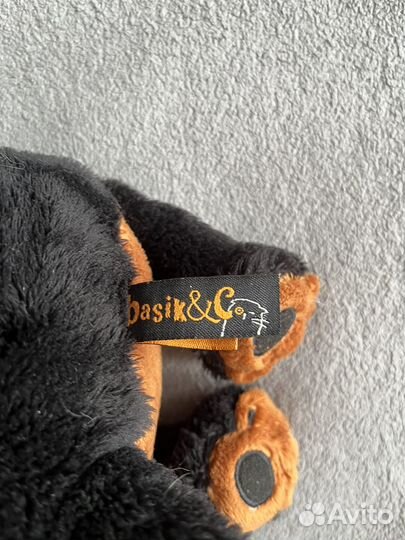 Собака ваксон