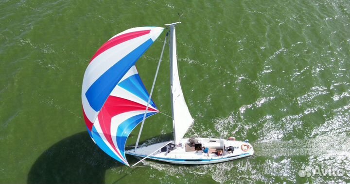 Прогулки на яхте в Калининграде