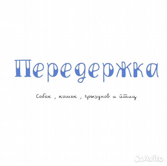 Передержка собак,кошек,грызунов и птиц