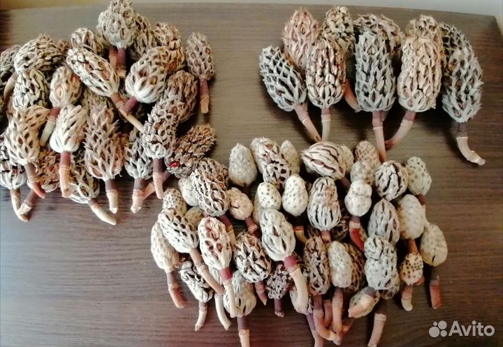 Набор для флориста