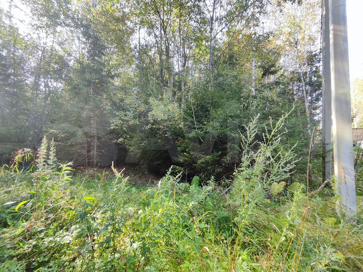 Участок 12 сот. (ИЖС)