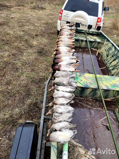 Лодка казанка 6