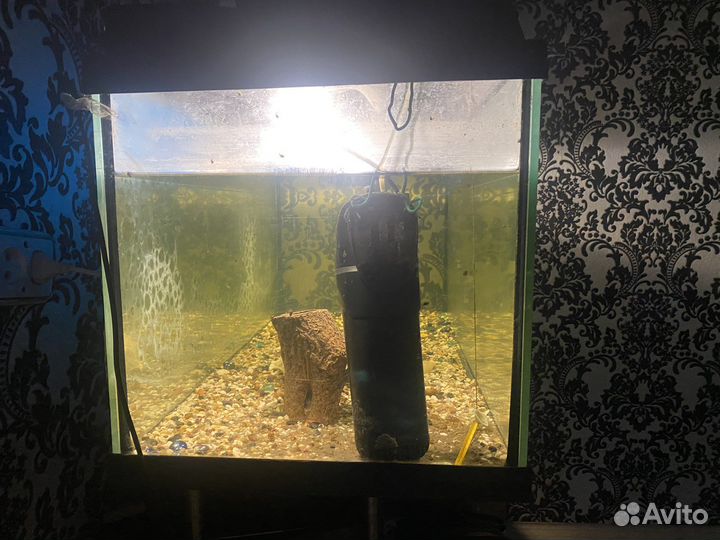 Аквариум