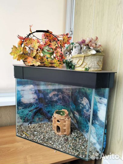 Аквариум