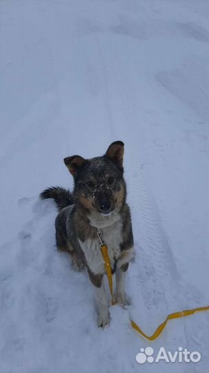 В поиске самой доброй семьи