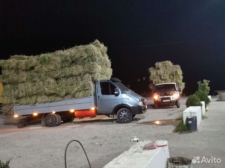 Сено.Комышь.Солома рисовая