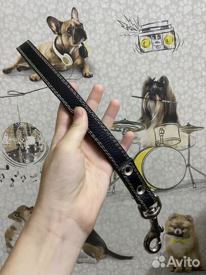 Водилка для собак