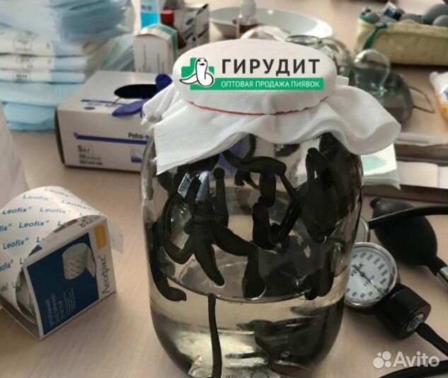 Пиявки медицинские