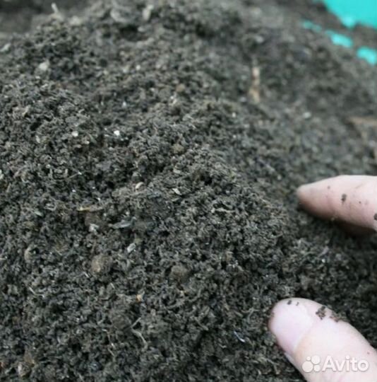 Удобрение / Сапропель /Великий Новгород