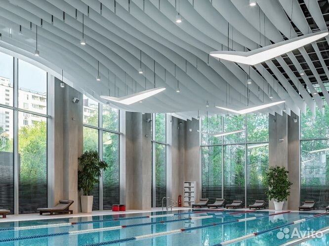 World class 14 месяцев