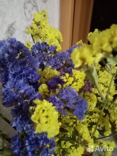 Букет из сухоцветов