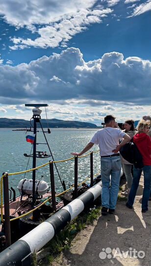 Тур в Териберку. Морская прогулка, Териберка киты