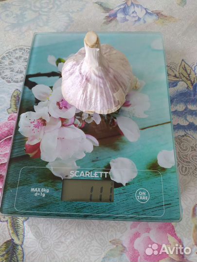 Продам чеснок