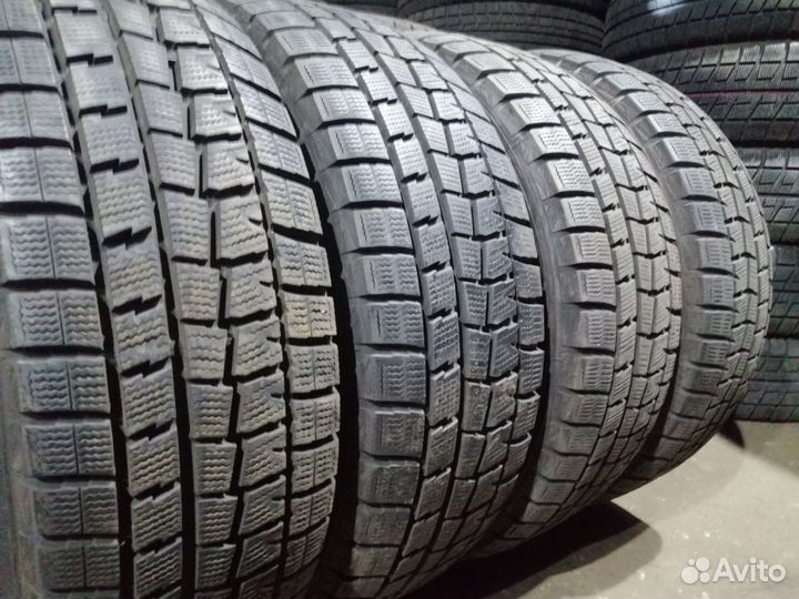 Dunlop Winter Maxx WM01 175/65 R14