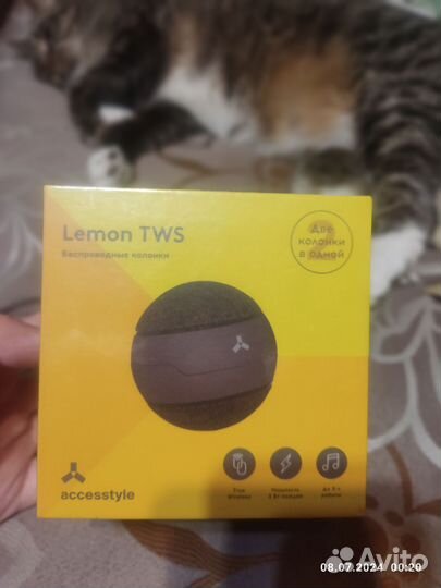 Портативная Bluetooth колонка Accesstyle Lemon TWS