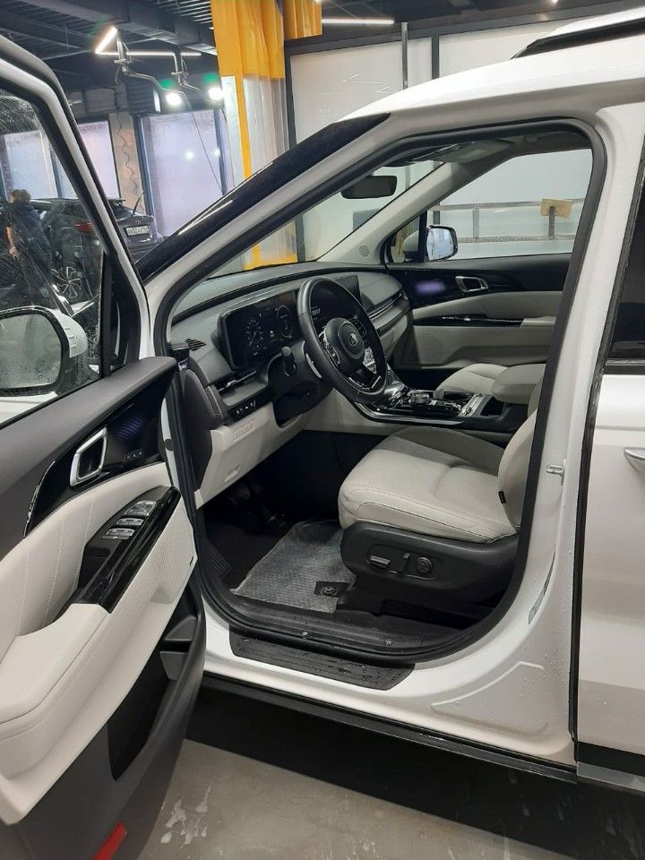 Kia Carnival: фото владельца