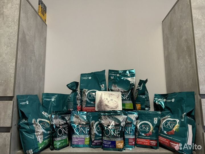 Сухой корм для кошек purina one