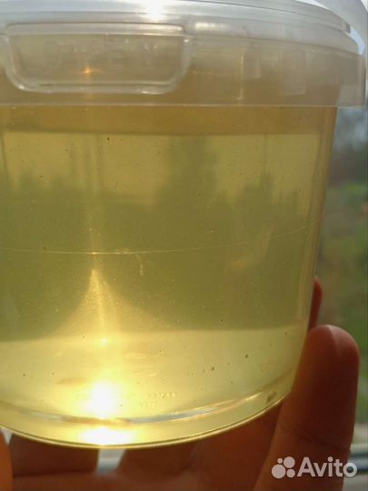 Мед Акация 2024г