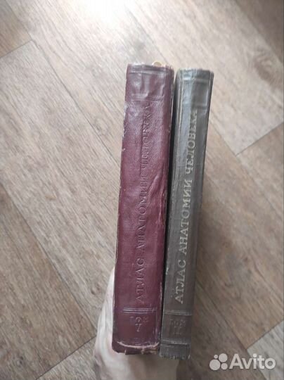 Литература по медицине (анатомия и гистопатология)