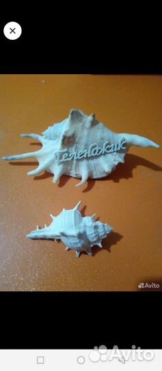 Декорации для акварима