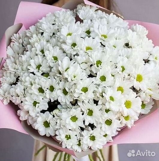 Хризантема Доставка цветов Букеты