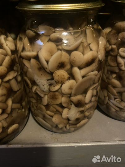 Грибочки соленые