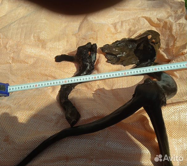 Коряги ADA камни Rock, скалы