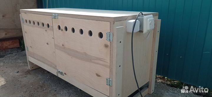 Брудер для цыплят