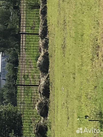 Сено 3 куб м