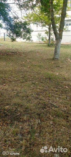 Покос травы