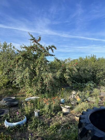 Участок 34 сот. (ИЖС)