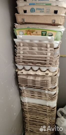 Контейнер для яиц