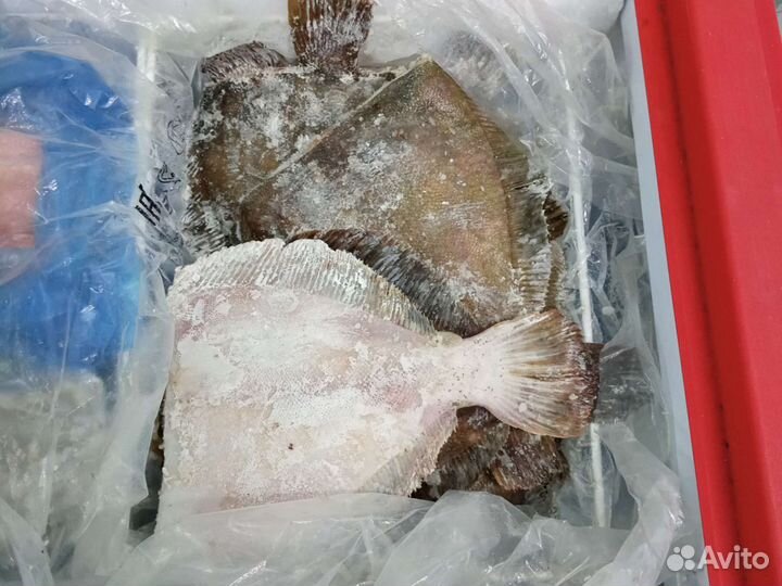 Камбала б/г дальневосточная