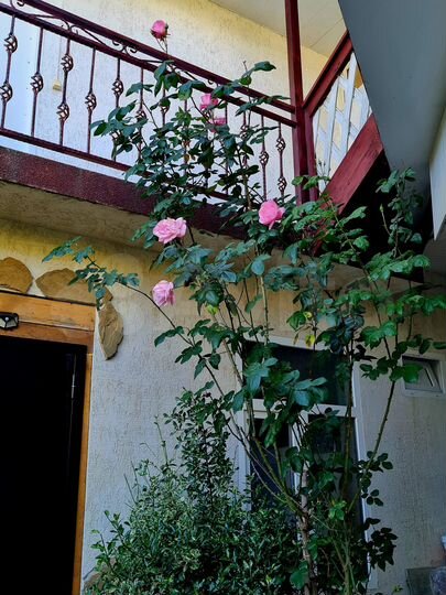 Дом 166 м² на участке 4,3 сот.