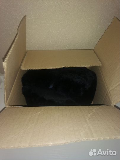 Мужская зимняя шапка мвд (ушанка)