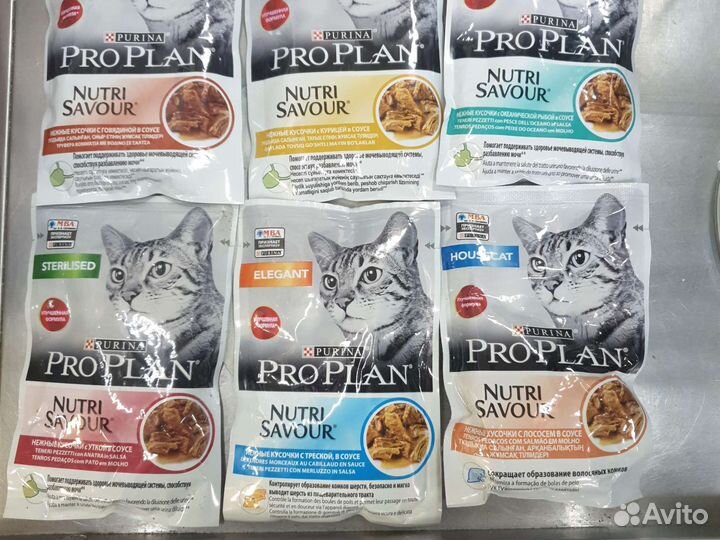 Влажный корм для стерилизованных кошек проплан