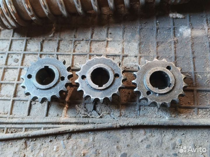 Ведущая моторная звезда Тула Муравей