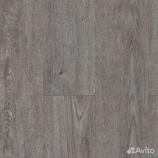 Grpl004 Bolton, 43 класс