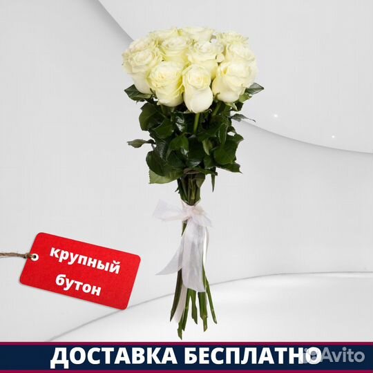 Розы Эквадор - 11 шт. 70 см