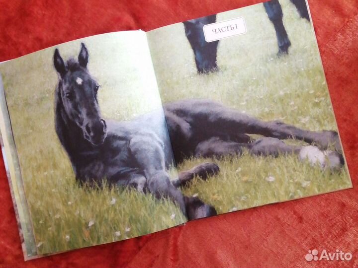 Детские книги, подарок, Книга 