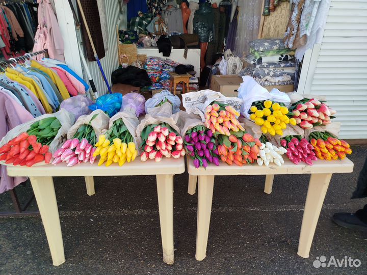 Тюльпаны к 8 марта