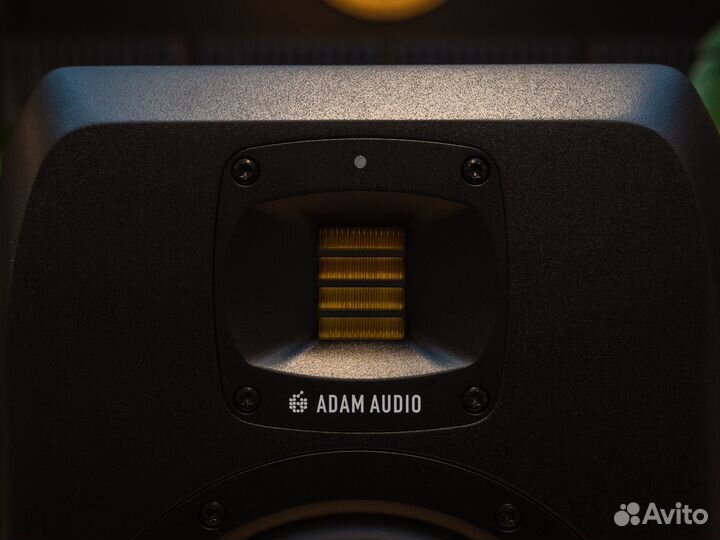 Adam S2V В наличии