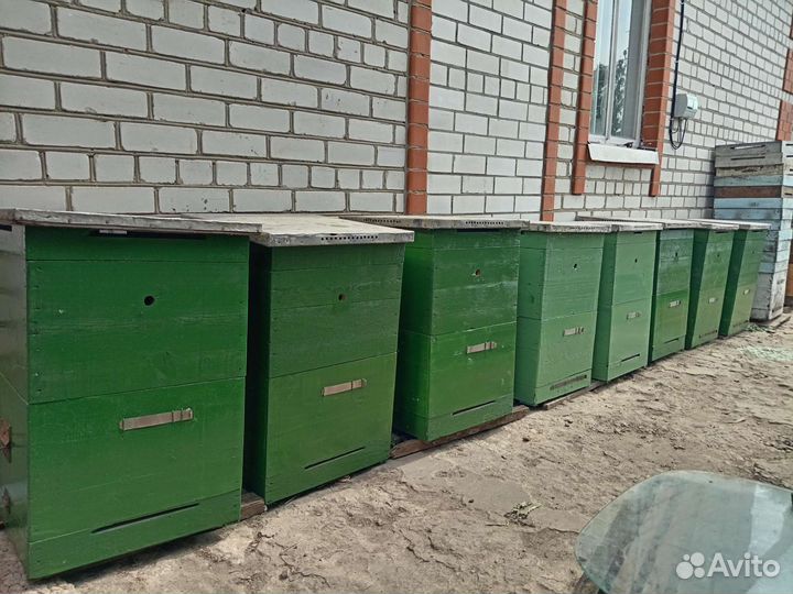 Улей для пчел бу