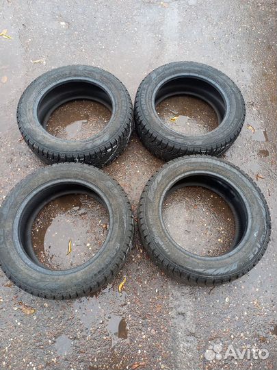 Formula Ice 195/55 R15 85T