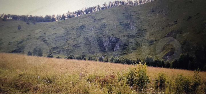 Участок 100 сот. (СНТ, ДНП)